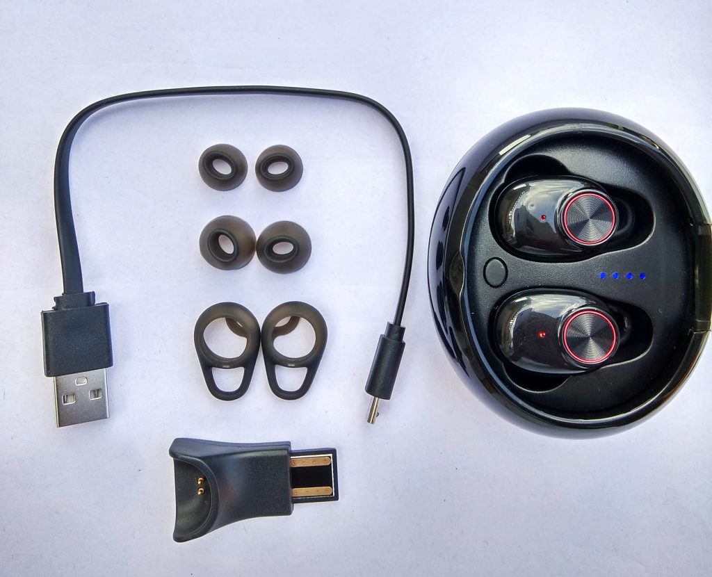 Gizbuds review