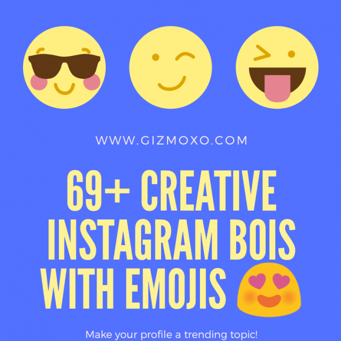 Instagram Bios with Emojis